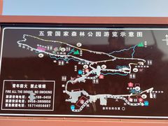 -五营红松林海景区