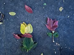 -帽儿山国家森林公园