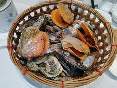 贝类拼盘-阿里元老宋海鲜大排档(明发店)