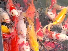 -濮园 · 四合院餐厅