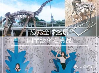 打卡全球超人气恐龙化石展「国宝级真品」广州