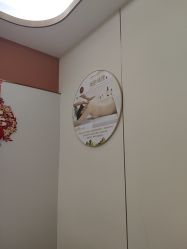 -金美秀瘦身养生