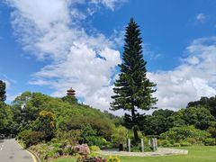 -深圳仙湖植物园