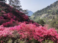 -木兰云雾山