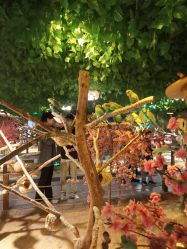 -酷嗒动物文化乐园(cutezoo西溪乐天城店)