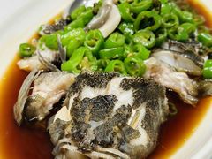 青花椒蒸笋壳鱼-新吉士·上海菜(浦东LCM置汇旭辉店)