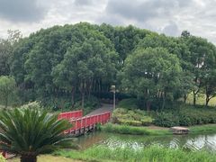 -美兰湖景区