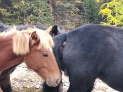 -可可托海景区