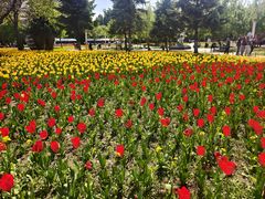 -长春公园(普阳街道)