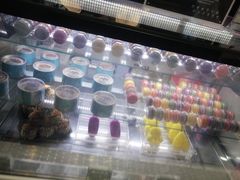 -野人先生现做冰淇淋(西安赛格店)