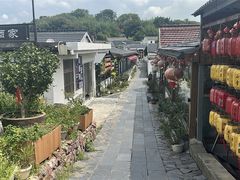-巢湖姥山岛