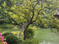 -云溪植物园