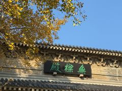 -灵谷景区
