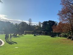 -墨尔本皇家植物园