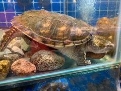 -健眺小海鲜(临海后山店)