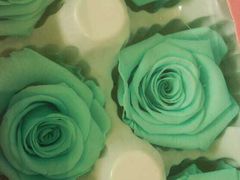 -昆明国际花卉拍卖交易中心