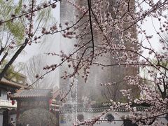 -碑林公园