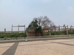 -中国唐山地震博物馆