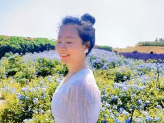 -光明小镇欢乐田园