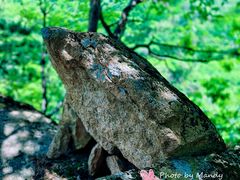 -五女峰国家森林公园