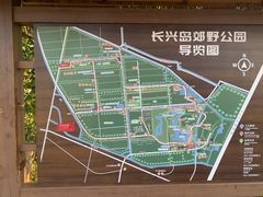 -上海长兴岛郊野公园