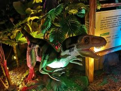 -恐龙探索乐园(磁器口店)