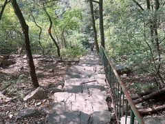 -老象峰