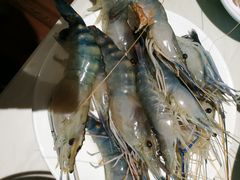 -悦鼎汇海鲜姿造