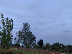 -汉长安城未央宫国家考古遗址公园