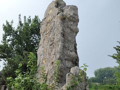 -中国古老月季文化园