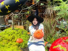 -三秋舍·梦幻岛(小西路店)