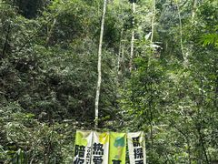 -西双版纳基诺山寨