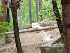 -哈尔滨北方森林动物园