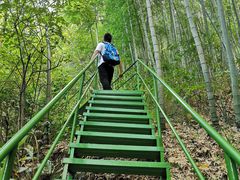 -藏龙百瀑风景区