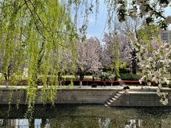 -元大都城垣遗址公园