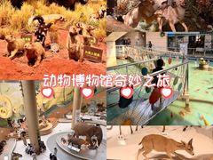 -陕西自然博物馆