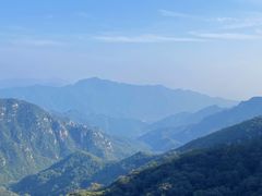 -大岭沟猕猴桃谷风景区