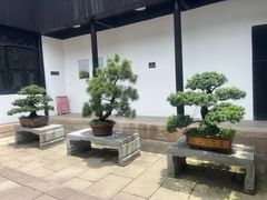 -绮园景区
