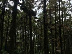 -象山森林公园