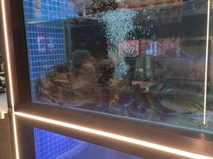 -川椒媚双椒烤鱼(鑫江东方城购物中心店)