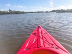 -春花秋色城市公园