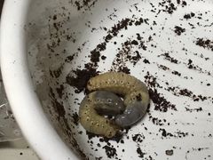 -fishtank鱼缸咖啡(三山街店)