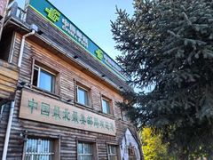 -北极村旅游风景区