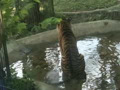 -黔灵山公园-南门售票处