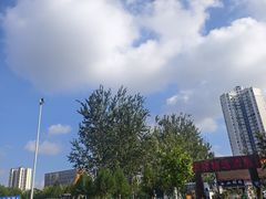 -老板恋上鱼(高新万达店)