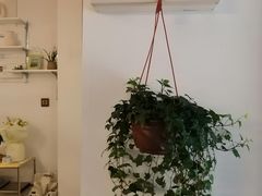 -屋裡·Union Bakery(龙江路店)