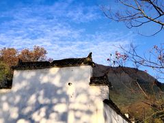 -塔川景区