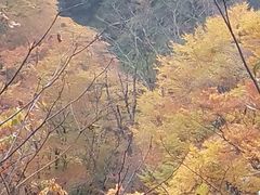 -黎坪国家森林公园