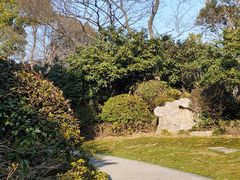 -桃花岛景观公园