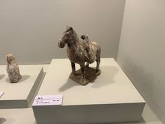 -安阳博物馆